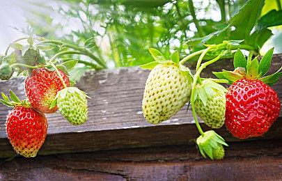 枪杀保险公司CEO嫌犯信息曝光 最爱玩《绝地求生》